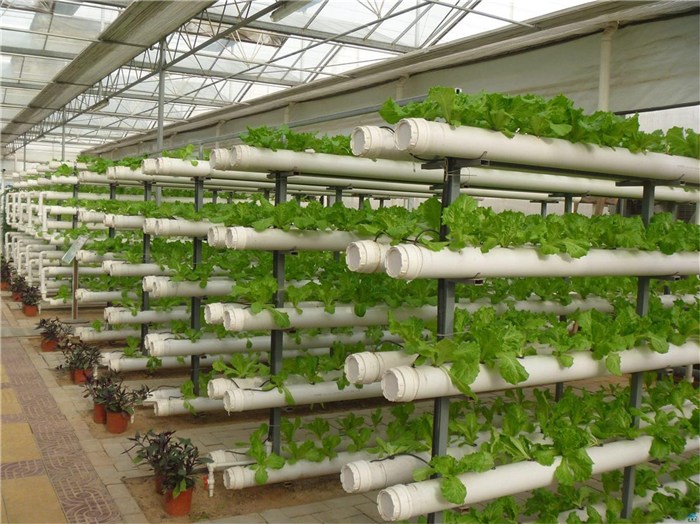 湛江市苗床种植槽 - 方案