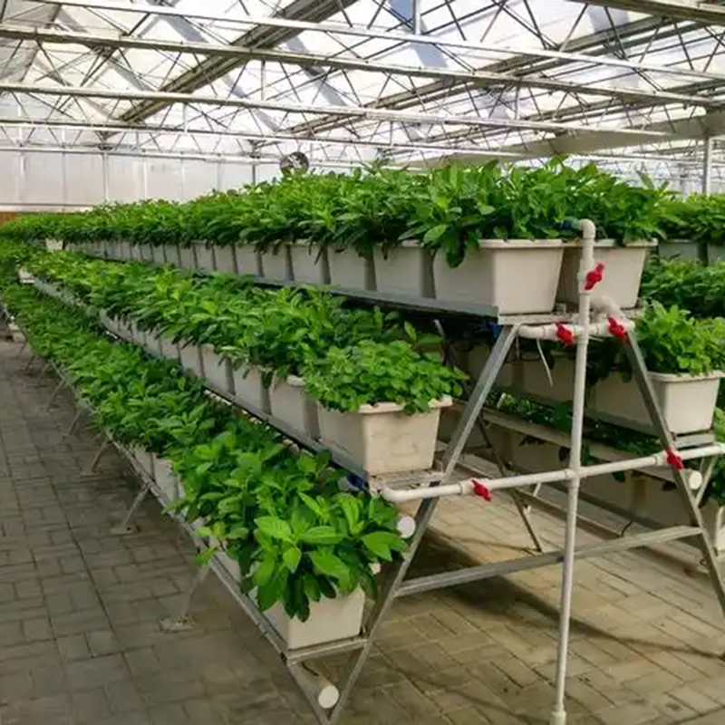湛江市植物工厂水培设备 - 价格