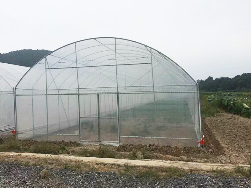 湛江市薄膜大棚大棚 - 哪里好